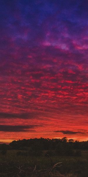Phone wallpaper: Sunset, Field, Sky, Beautiful Landscape, Nature free download