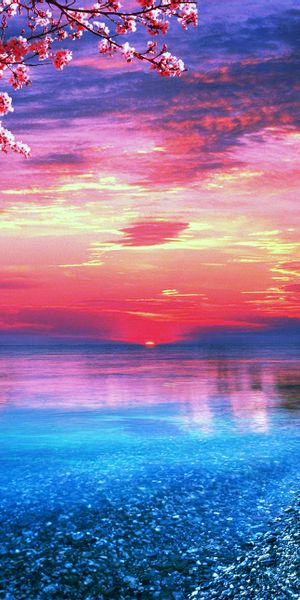 Breathtaking HD iPhone wallpaper featuring a beach sunset and ocean view