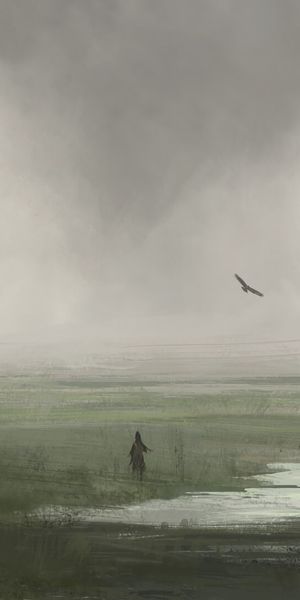 Lonely Silhouette of a Bird Over Grassy Fields