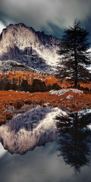 Phone wallpaper: Nature, Mountains, Mountain, Reflection, Tree, Fall, Earth, Cliff free download