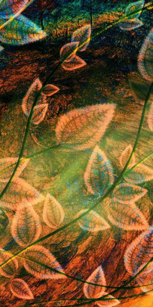 Vibrant Abstract Leaves Wallpaper for Your Mobile Device