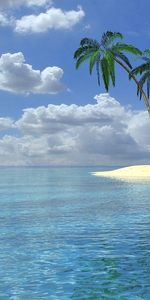 Breathtaking iPhone wallpaper featuring a tranquil summer landscape with palms