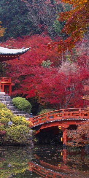 Beautiful Daigo-ji Temple Surrounded by Autumn Colors