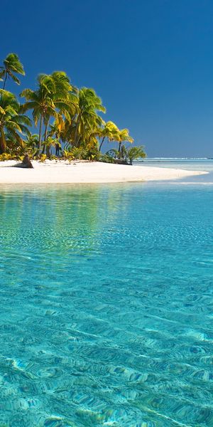 Breathtaking Tropical Beach with Turquoise Waters and Lush Palms