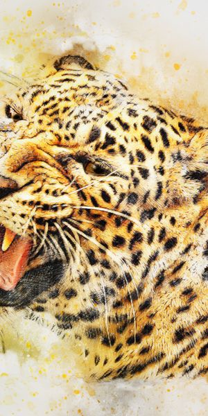 Phone wallpaper: Predator, Leopard, Animals, Art free download