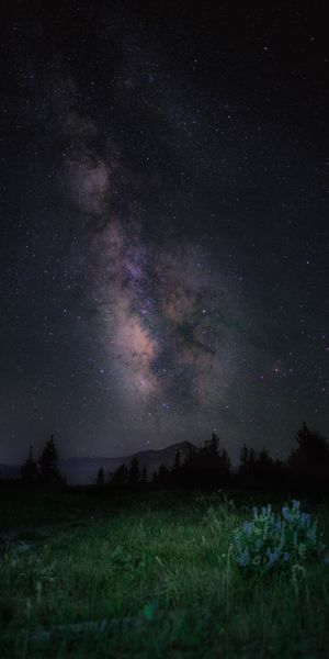 Breathtaking View of the Milky Way Over Majestic Mountains