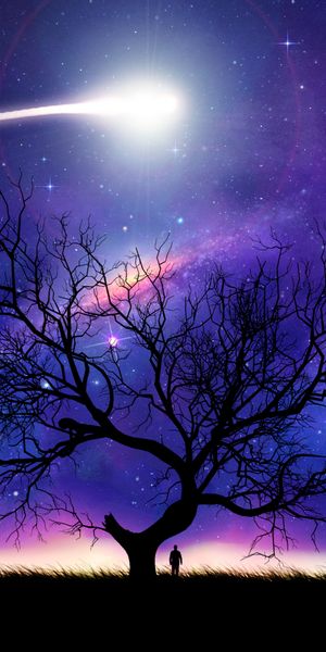 Beautiful Night Silhouette of a Tree Under a Comet and Starry Sky