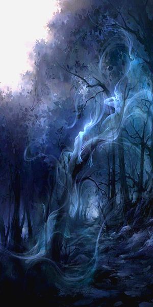 Ethereal Dark Spirit in Enchanted Forest Wallpaper