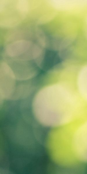 Phone wallpaper: Glare, Circles, Smooth, Faded, Blur, Abstract free download