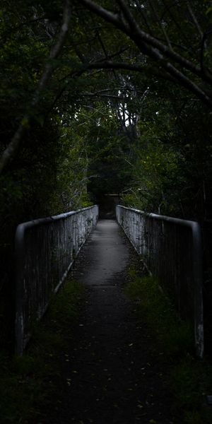Dark Forest Bridge Pathway Wallpaper
