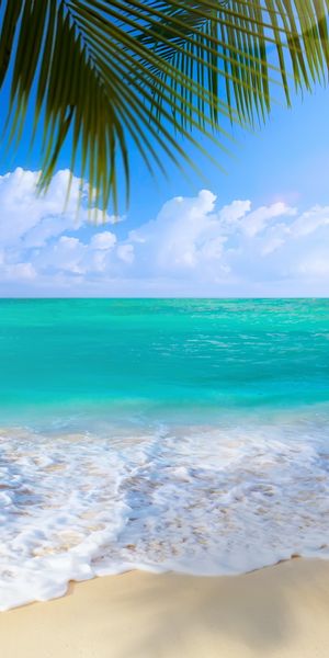 Breathtaking 4K mobile wallpaper of a serene beach and ocean view