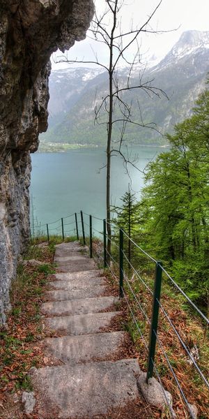 Explore the Tranquil Lake with Rocky Steps and Lush Greenery