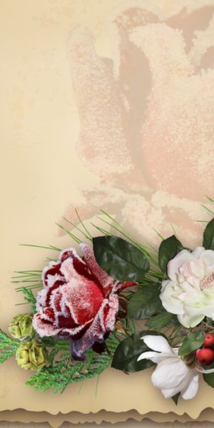 Phone wallpaper: Flowers, Pink, Flower, Heart, Artistic, Ribbon free download