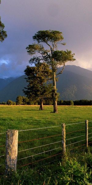 Phone wallpaper: Reserve, Wire, Trees, Enclosure, Fencing, Mountains, Nature free download