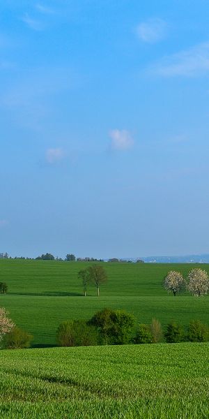 Phone wallpaper: Nature, Field, Grass, Hills free download