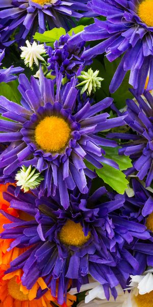 Phone wallpaper: Nature, Flowers, Flower, Earth, White Flower, Purple Flower, Orange Flower free dow