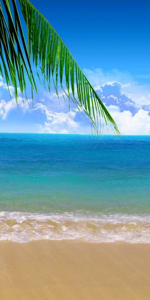Beautiful Blue Beach Landscape with Palm Trees