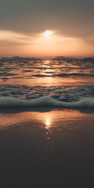 Captivating phone wallpaper of a beach sunset with gentle waves and nature