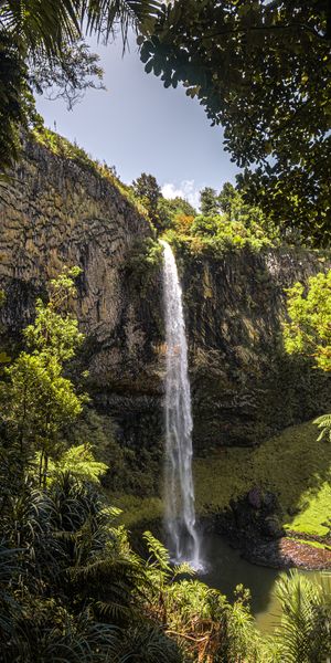 Phone wallpaper: Nature, Cliff, Trees, Vegetation, Waterfall free download