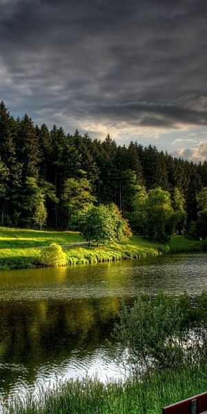 Tranquil Summer River Landscape with Trees and Bench - Free Phone Wallpaper
