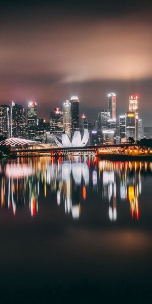 Breathtaking Night View of Singapore's Skyscrapers - High-Quality Phone Wallpaper