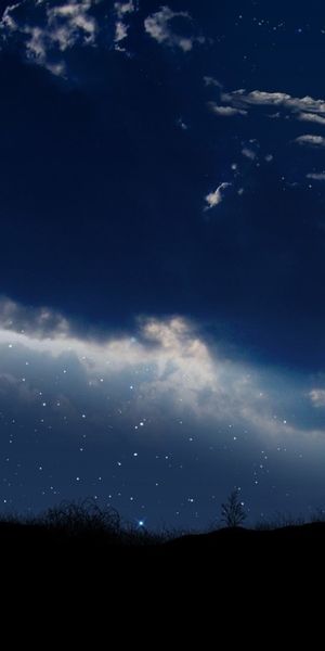 Sailor Moon in a Starry Night Sky Wallpaper