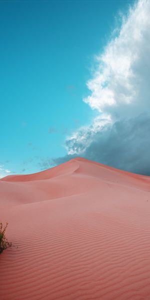 Breathtaking Desert Dunes Under a Blue Sky