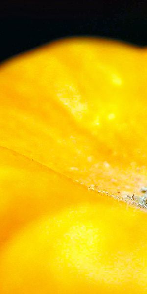 Phone wallpaper: Nature, Food, Pumpkin, Fruit, Orange (Color) free download
