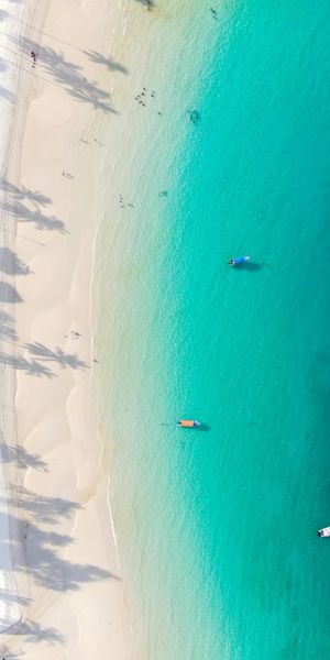 Aerial View of a Tropical Beach with Boats and Palm Trees