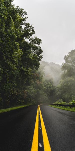 Serene Foggy Road with Lush Greenery - Perfect for Mobile Wallpaper
