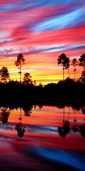 Colorful iPhone Wallpaper Featuring a Sunset Reflection Over Earthy Trees