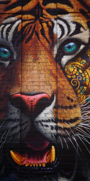 Eye-catching graffiti wallpaper of a tiger with intricate street art details