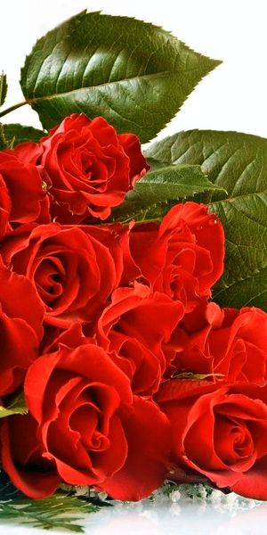 Beautiful red rose bouquet wallpaper perfect for Valentine's Day decor