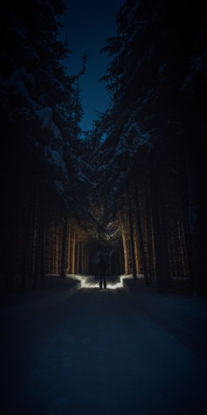 Mysterious Snowy Forest Pathway at Night