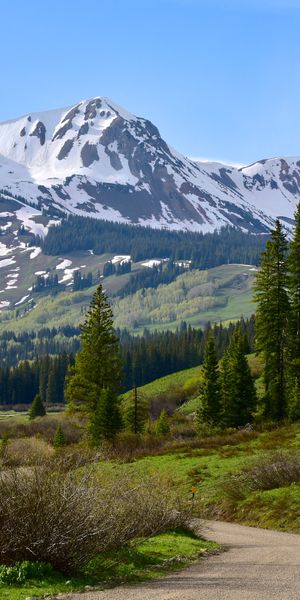 Phone wallpaper: Fir, Spruce, Snowbound, Nature, Snow Covered, Mountains, Trees, Road free download