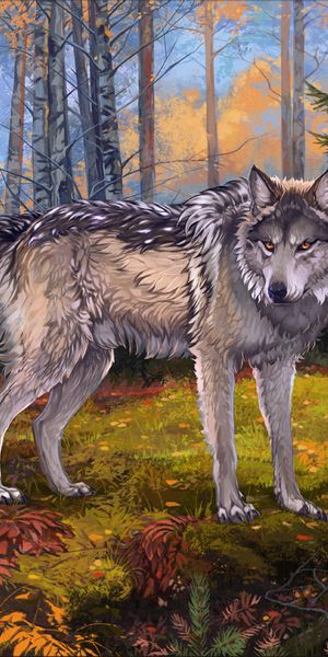 Phone wallpaper: Forest, Grey, Wildlife, Art, Wolf free download