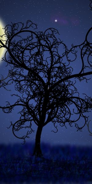 Phone wallpaper: Nature, Night, Silhouette, Tree, Artistic free download