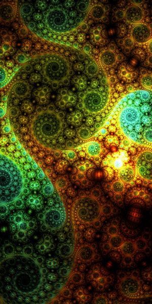 Colorful Involute Spiral Pattern - Perfect for Your Mobile Wallpaper