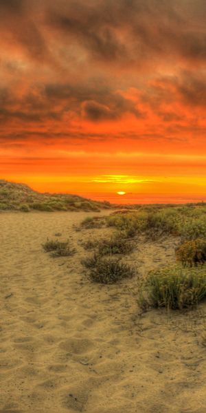 Phone wallpaper: Nature, Sunset, Beach, Sand, Horizon, Earth, Cloud free download