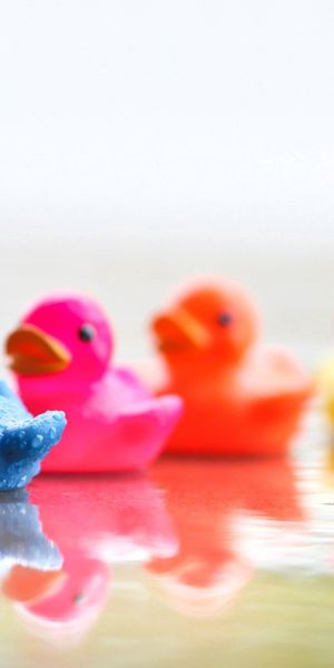 Vibrant Mobile Wallpaper Featuring Colorful Ducks on a Humid Surface