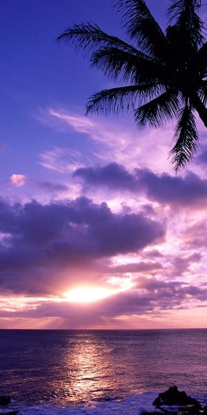 Breathtaking beach sunset mobile wallpaper - free for your device