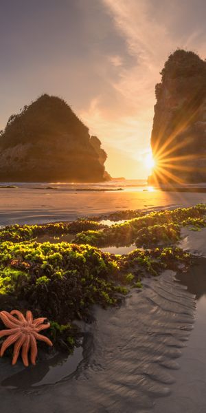 Breathtaking Sunset Over a Serene Beach with Starfish
