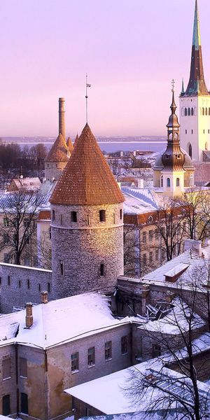 Winter Wonderland: Tallinn's Enchanting Cityscape