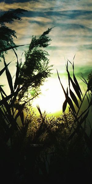 Beautiful artistic landscape wallpaper for iPhone featuring silhouettes