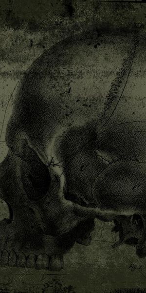 Dark Skull Phone Wallpaper