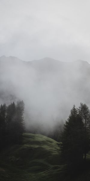 Phone wallpaper: Nature, Fog, Trees, Mountains, Meadow, Italy free download