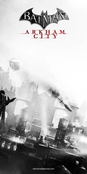 Catwoman in Batman Arkham City - Stunning Phone Wallpaper
