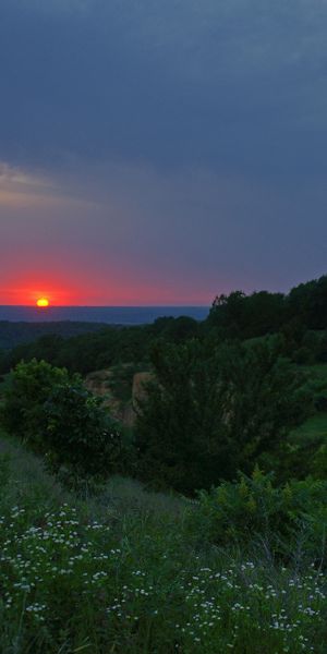 Breathtaking 4K wallpaper of a sunset landscape with trees and flowers