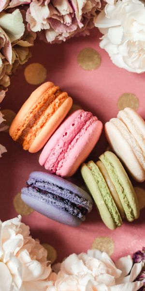 Phone wallpaper: Food, Makaroons, Macaroons, Motley, Flowers, Desert, Multicolored, Cookies free dow