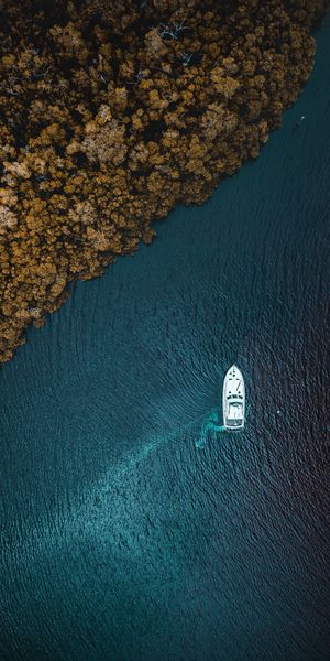 Aerial View of a Yacht Surrounded by Nature